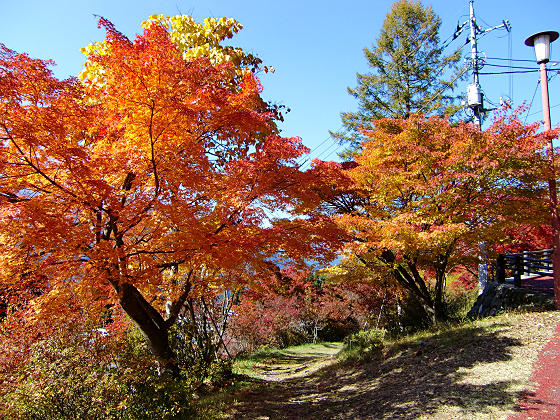2010年10月三峯神社の紅葉