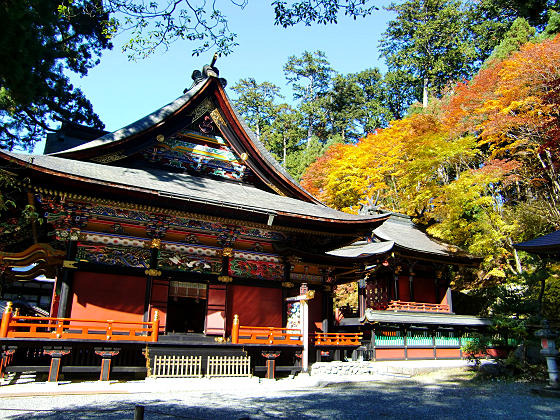 2010年10月三峯神社の紅葉