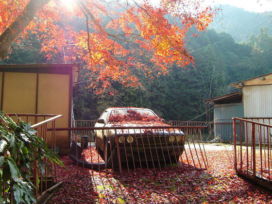 2010年11月鎌北湖と秩父長瀞の紅葉ツーリング