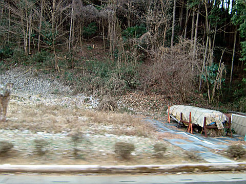 2011年1月、名栗、有間ダムツーリング