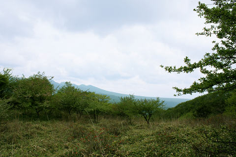 2011年6月蓼科高原