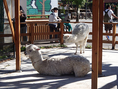 2012年10月東武動物公園